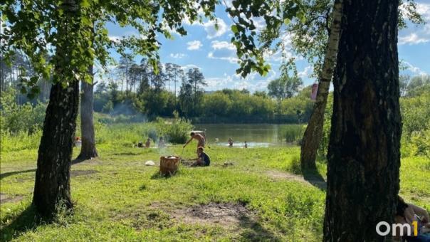 Глава Новосибирского сельсовета получил два года условно за липовую вырубку деревьев