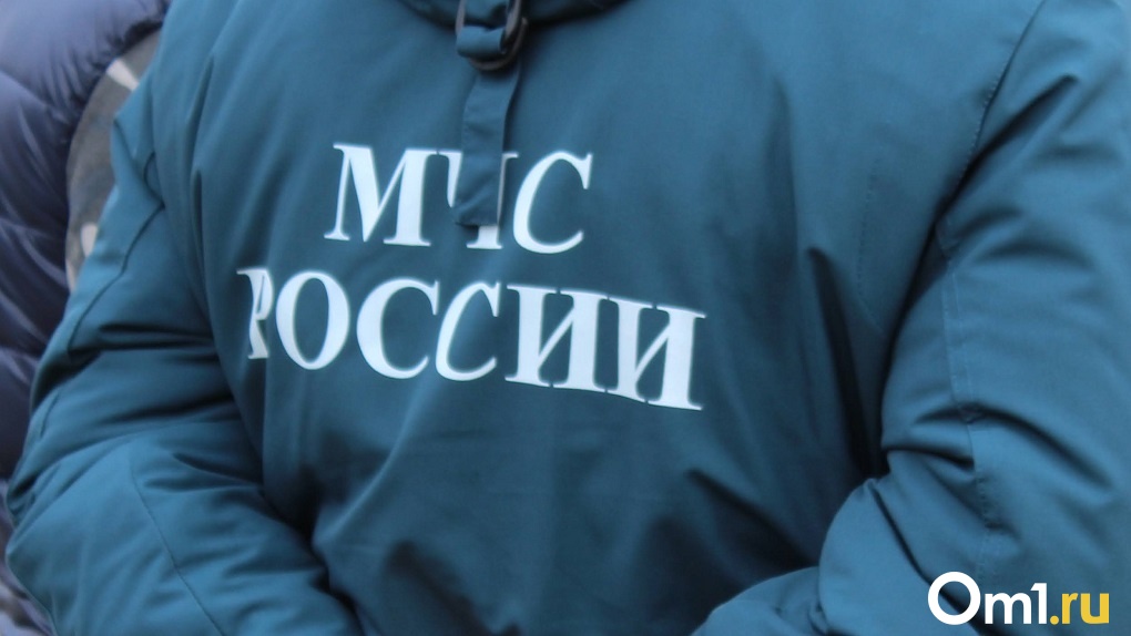 Сайт управления МЧС по Новосибирской области атаковали хакеры
