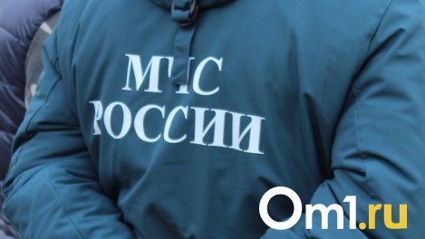 Сайт управления МЧС по Новосибирской области атаковали хакеры