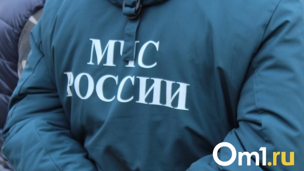 Сайт управления МЧС по Новосибирской области атаковали хакеры