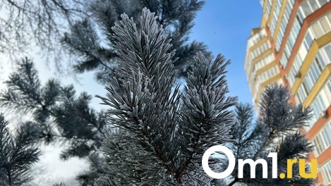 Синоптики рассказали об аномально тёплой погоде в январе в Омской области
