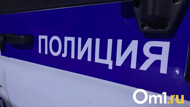 Омские полицейские помогли потерявшейся собаке вернуться домой