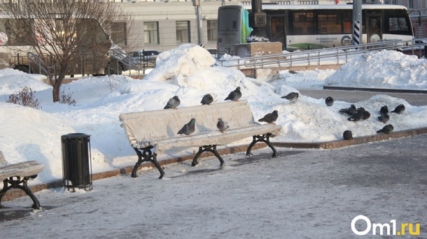 «Хочется плакать»: новосибирский блогер Василий Баранов сравнил родной город и Красноярск