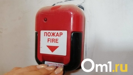 Пенсионерка погибла в страшном пожаре в Новосибирской области