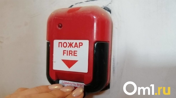 Пенсионерка погибла в страшном пожаре в Новосибирской области