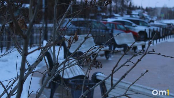 Омичам предложили выбрать, какие территории благоустроить в 2024 году