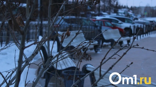 Омичам предложили выбрать, какие территории благоустроить в 2024 году