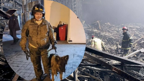 Проникла на развалы «Крокуса» ради фото: как сибирячка заработала на трагедии, притворившись кинологом