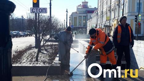 Эксперты обнаружили в Омской области нехватку дворников