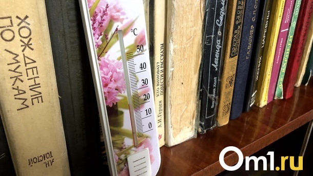 Куда обращаться омичам, если холодно в квартире, в автобусе или в школе?