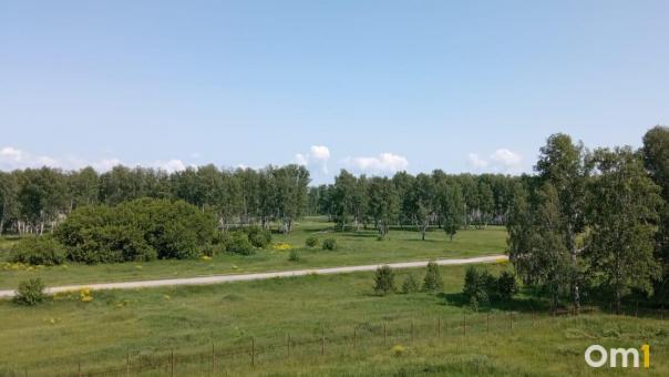В Омске заметили редкое хищное растение
