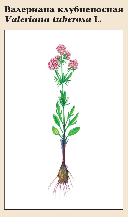 Изображение фоторепортажа