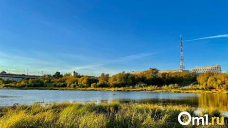 Омск примет участие в экологической акции: что в программе?