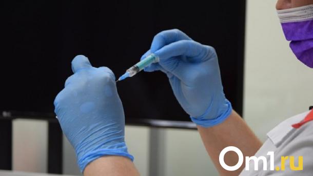 В Омскую область пришёл грипп: какими штаммами болеют омичи