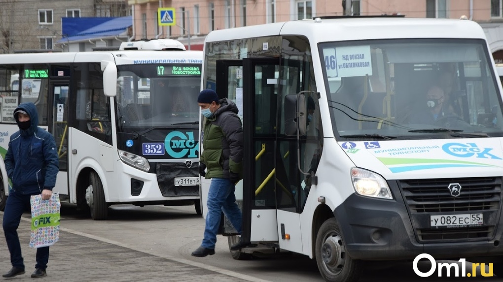 Водителей не хватает: из-за мобилизации в Омске может возникнуть транспортный коллапс