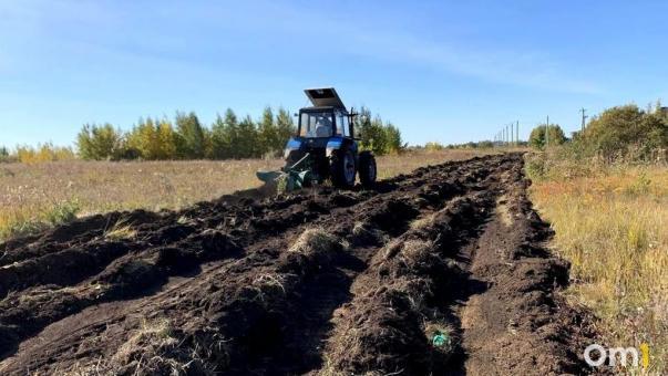 Больше 600 тысяч рублей потратят, чтобы обезопасить Омск от природных пожаров