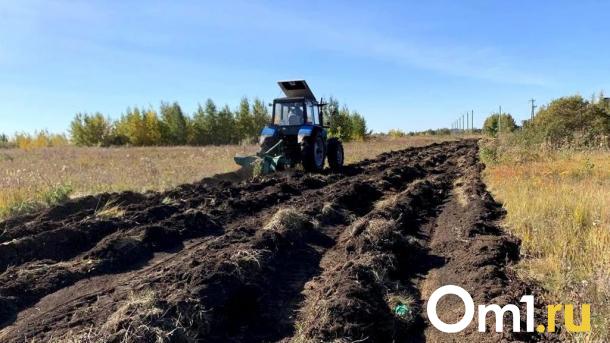 Больше 600 тысяч рублей потратят, чтобы обезопасить Омск от природных пожаров