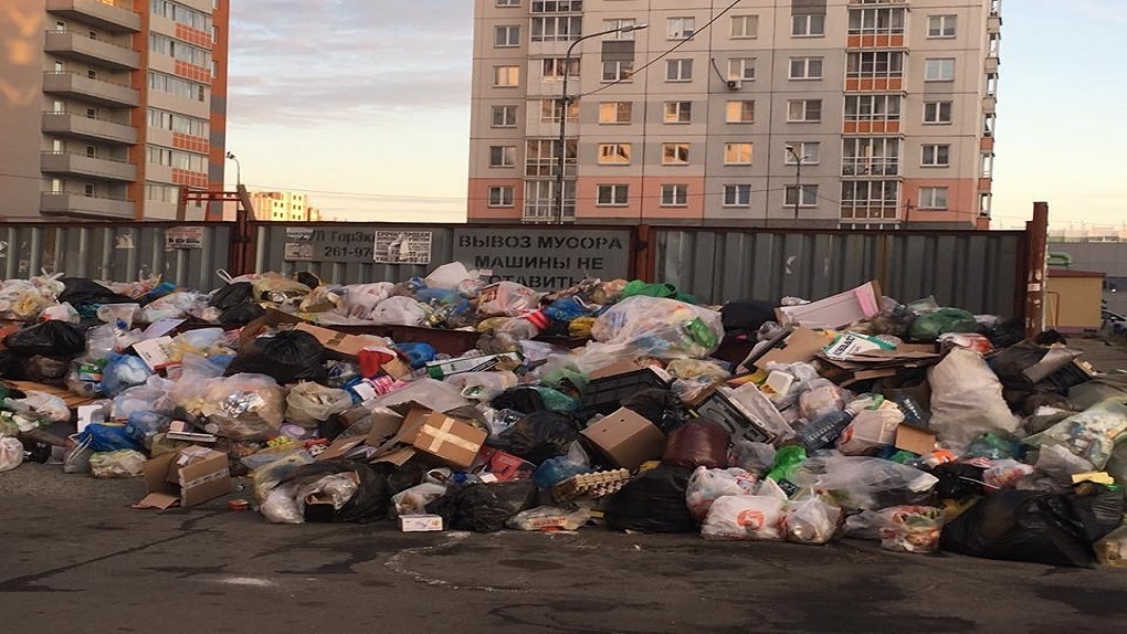 Челябинский тбо. Мусорка в Челябинске. Челябинская свалка отходы. Мусорные кучи Челябинск. Челябинские мусорки.