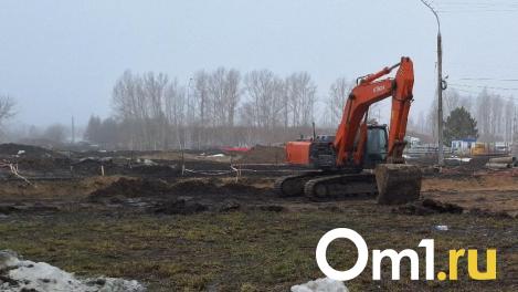 На окраине Омска снесли детскую психбольницу