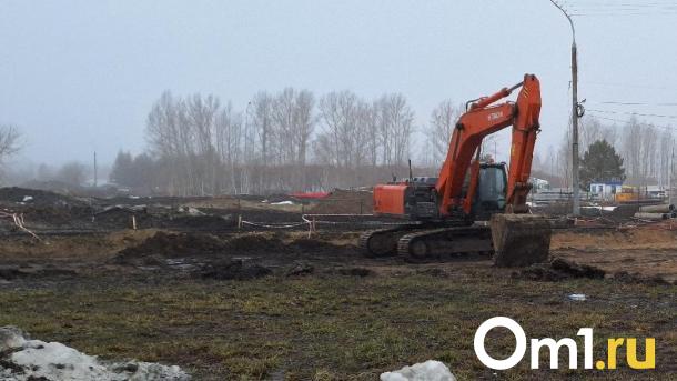 На окраине Омска снесли детскую психбольницу