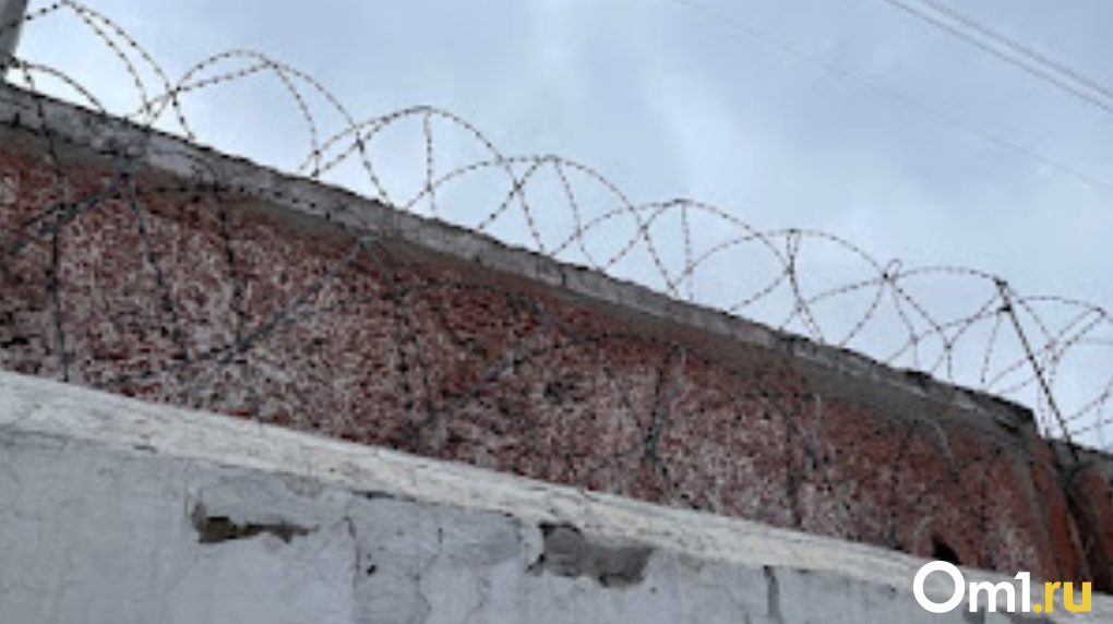 В Новосибирске задержан сбежавший пациент психбольницы №6