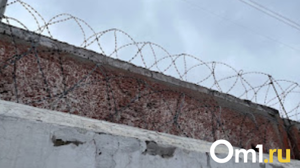 В Новосибирске задержан сбежавший пациент психбольницы №6