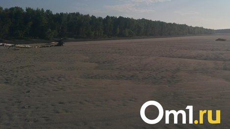 В Омской области пересыхает известная река