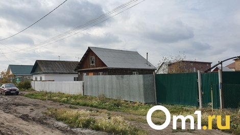 Улучшаем почву после копки картофеля: четыре совета, чтобы увеличить урожай