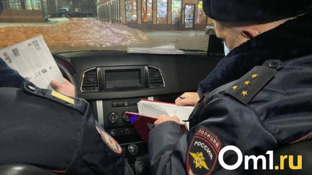 Полиция сняла с поезда неадекватную пассажирку в Новосибирске