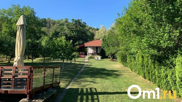 Стало известно, сколько стоит самая дорогая дача в Омске