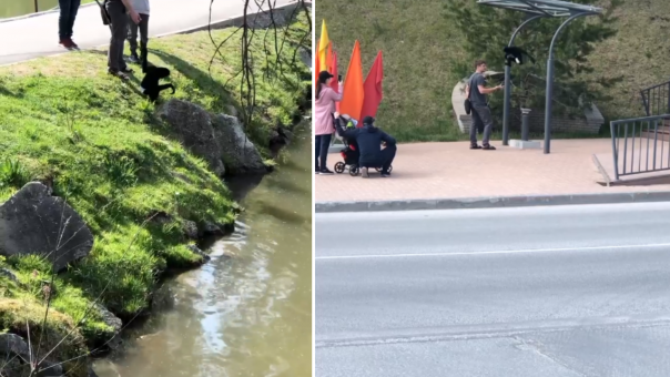 В Новосибирске мужчина выгуливал на поводке обезьянку в памперсе. ВИДЕО