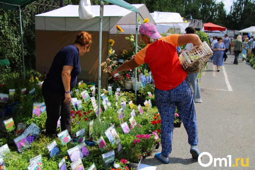 Изображение фоторепортажа