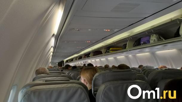 Прилетевшую в Новосибирск толпу мигрантов не выпустили из самолёта