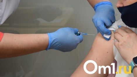 Когда переболевшим омикроном новосибирцам можно вакцинироваться? Рекомендации вирусолога