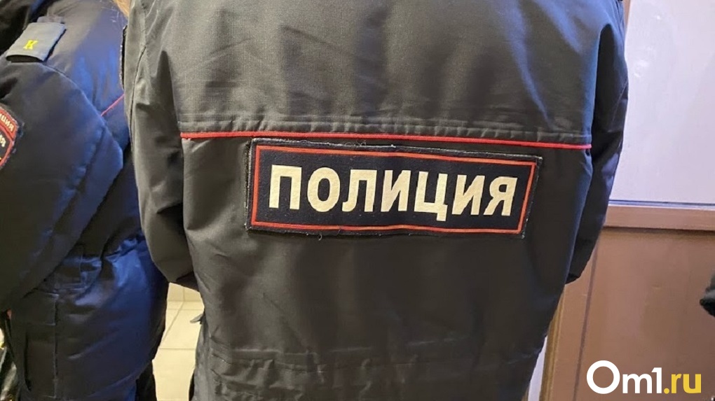 Полиция разыскивает жительницу Омской области. Женщина ушла на работу и пропала. ФОТО