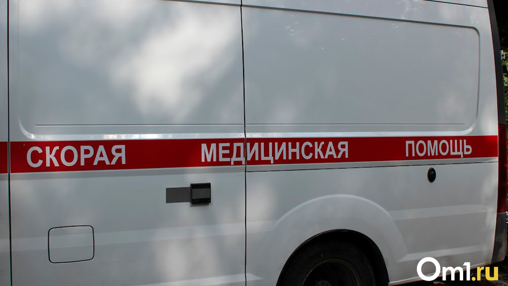Машина вылетела в кювет и перевернулась: водитель погибла на трассе в Новосибирской области