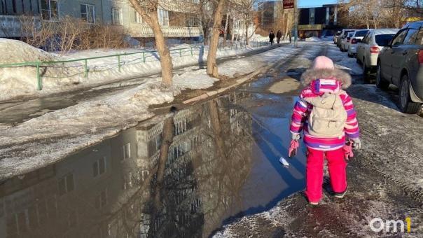 Конец февраля встретит омичей последними заморозками до -20
