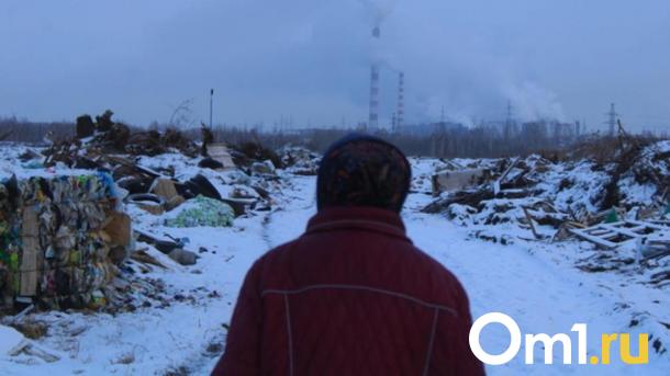 Прокуратура проконтролирует исполнение поручений по утилизации отходов в Новосибирске