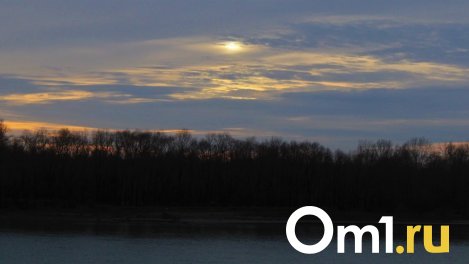 В Омске обнаружили превышение ПДК оксида азота