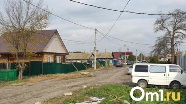 Тупицыно и Мясники. Опубликованы самые оригинальные названия в Омской области