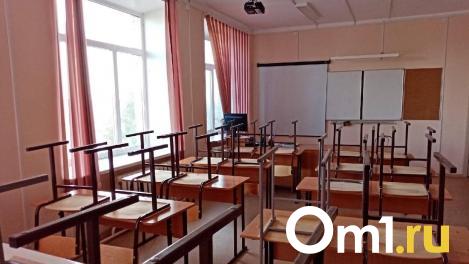 В Омске шестикласснику на голову упал кусок штукатурки