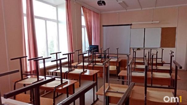 В Омске шестикласснику на голову упал кусок штукатурки