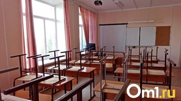 В Омске шестикласснику на голову упал кусок штукатурки