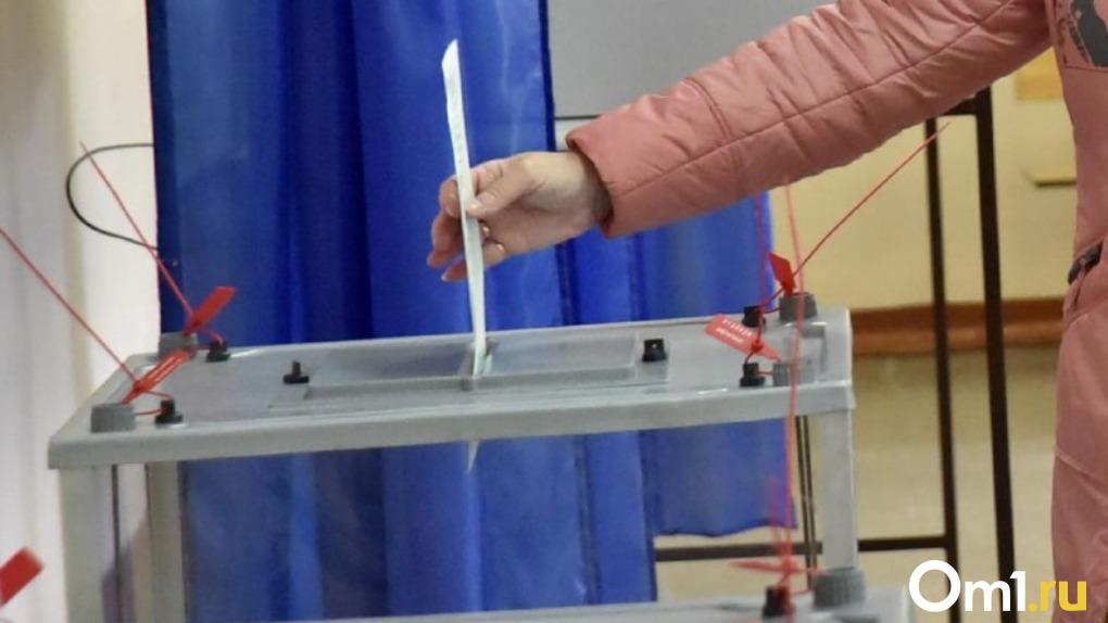 Более 462 тысяч жителей Новосибирской области проголосовали в первый день выборов президента