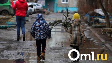 К выходным в Омскую область придёт практически летнее тепло