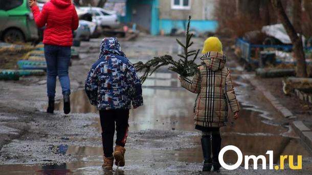 К выходным в Омскую область придёт практически летнее тепло