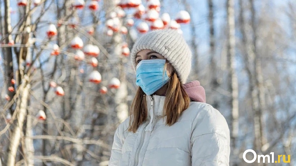 Потепление до -1 градуса придёт в Новосибирск на новогодних каникулах