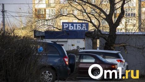 В Омск пытались нелегально провезти 25 килограммов щуки