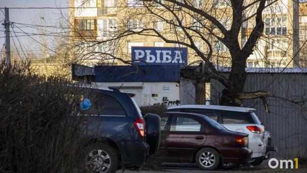 В Омск пытались нелегально провезти 25 килограммов щуки