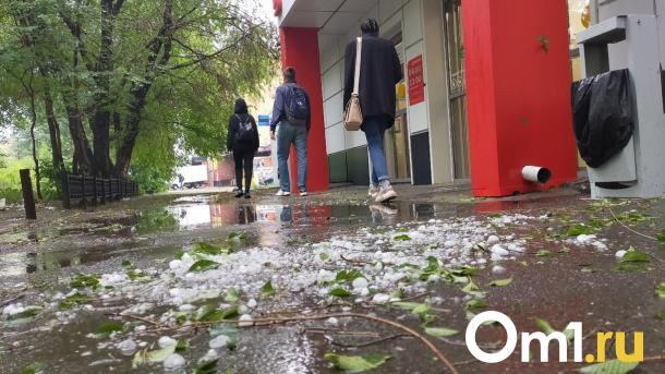 Град размером с мячик: в Омской области зафиксированы мощные осадки